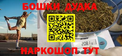 индика Пугачёв