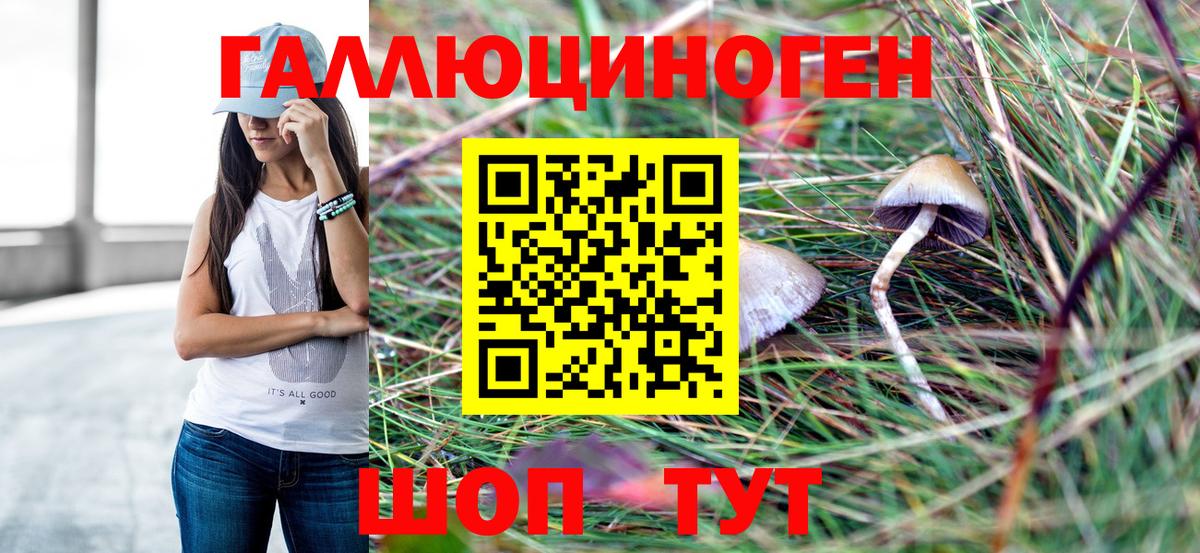 Полевской  Галлюциногенные грибы GOLDEN TEACHER  Вход с VPN 
